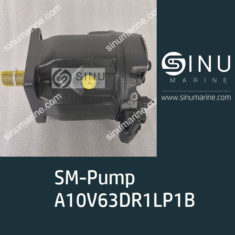 A10V63DR1LP1B 舱盖油泵