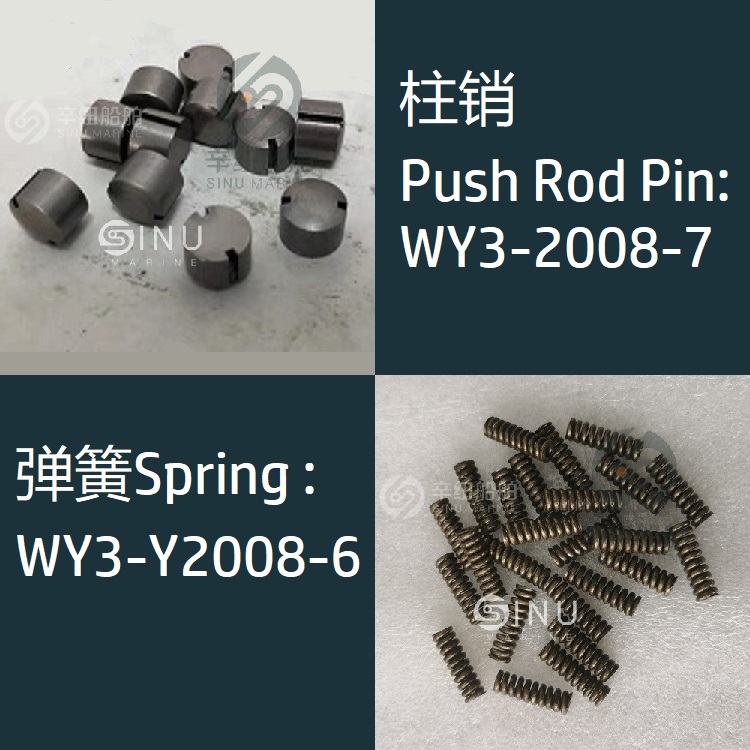 Motor spring push rod pin for ship motor