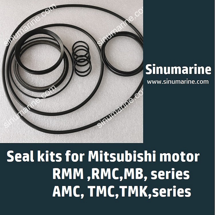 OIL MOTOR SEALS RMM RMC AMC  TMC SEAL KITS
