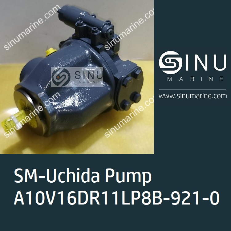Pump A10V16DR11LP8B-921-0 for hatch cover