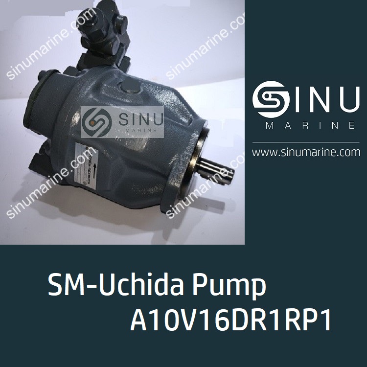 Pump A10V16DR1RP1 for crane