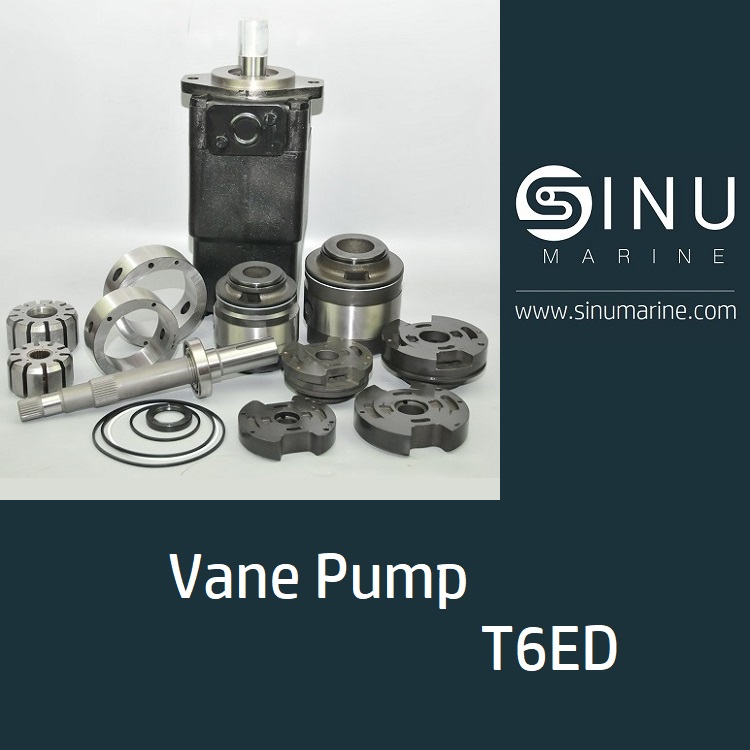 T6ED  PUMP