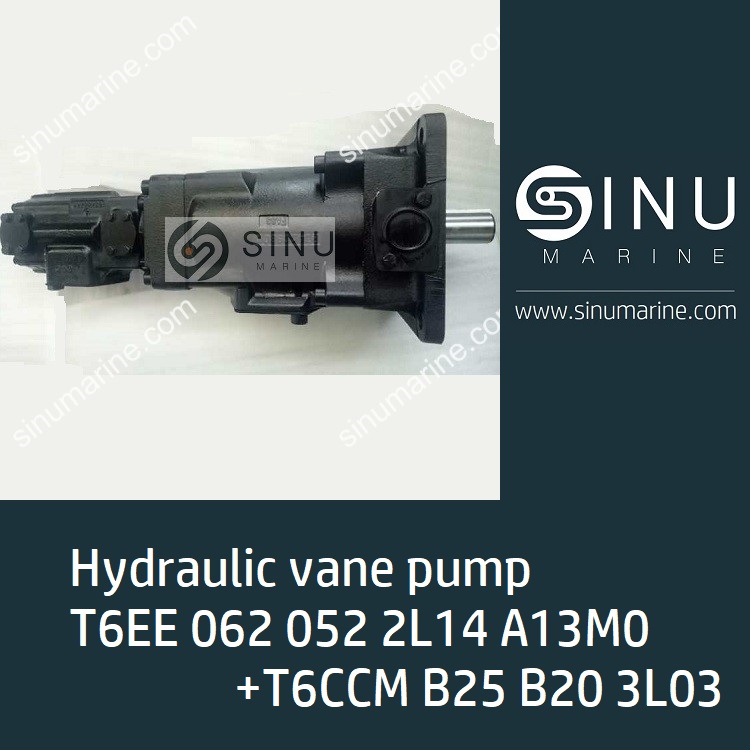 Vane Pump T6EE-062-052-2L14-A13M0+T6CCM B25 B20 3L03