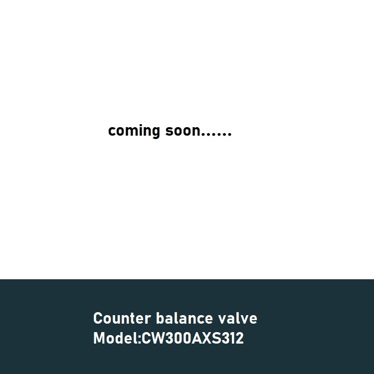counter balance valve  CW300AXS312