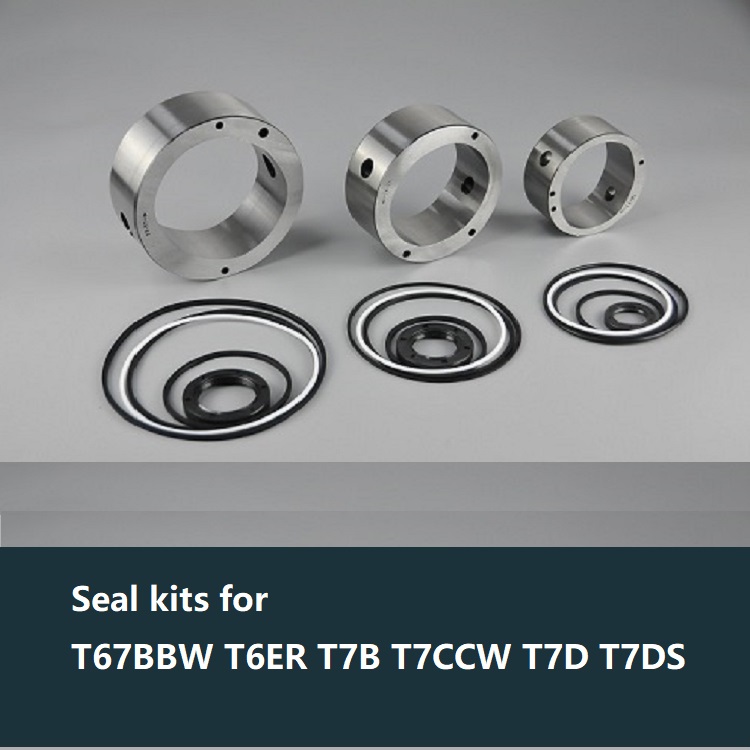 Seal kits for T67BBW T6ER T7B T7CCW T7D T7DS 油泵密封件
