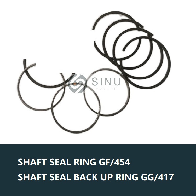 piston ring(1)