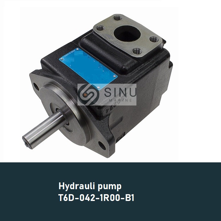 T6D-042-1R00-B1 Machinery hydraulic pump of deck crane(1)