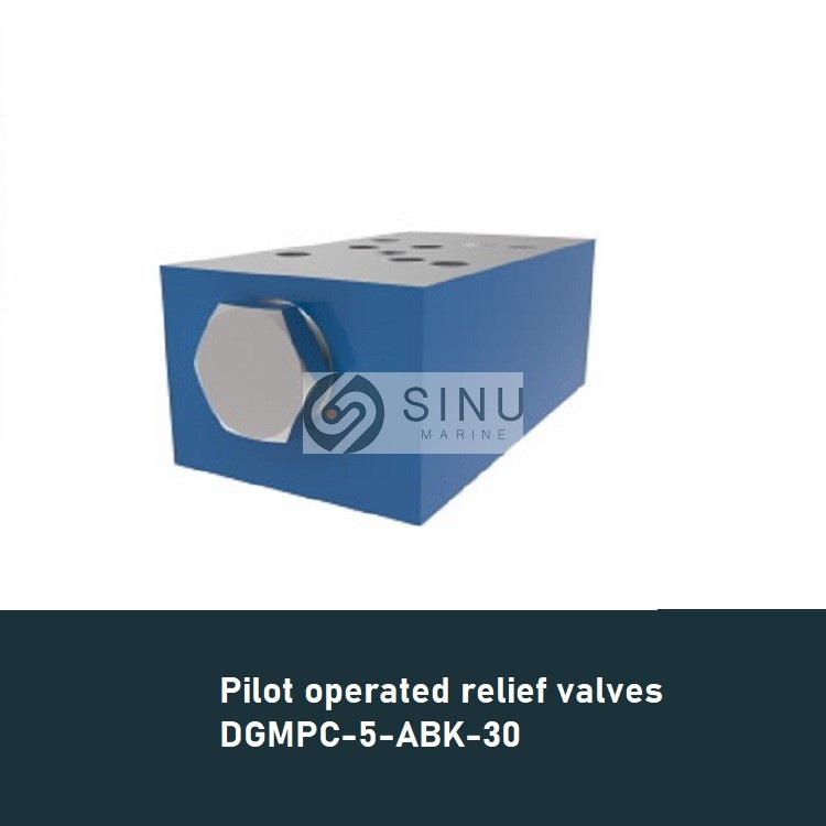 Pilot Operated Check Valve DGMPC-5-ABK-30(1)