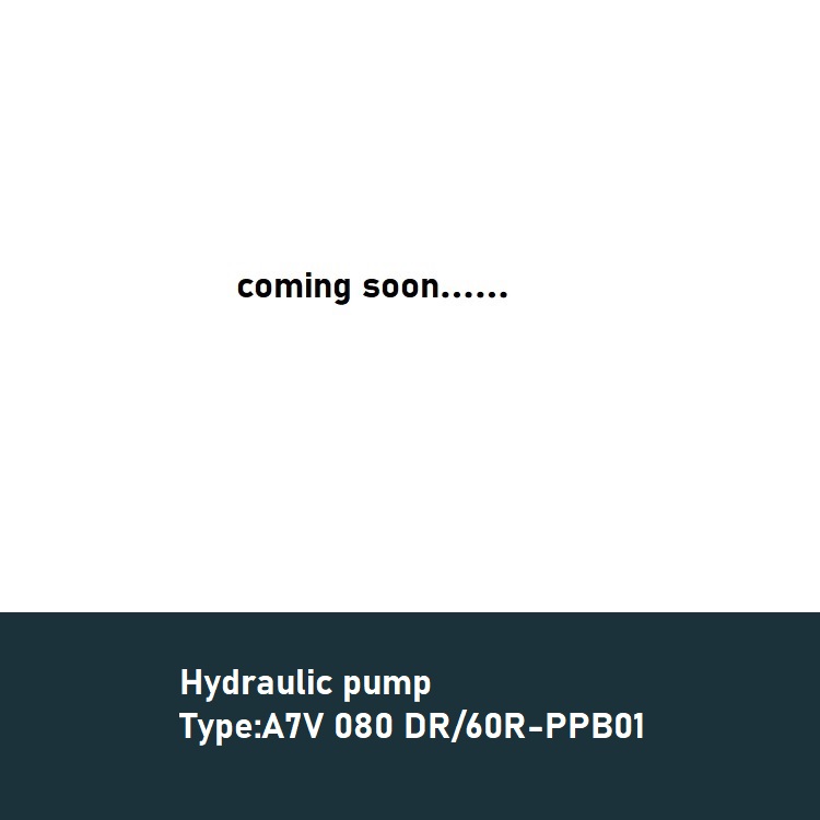 A7V 080 DR-60R-PPB01