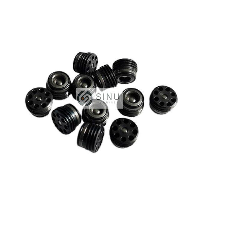 HAWE CHECK VALVE RK1 for deck