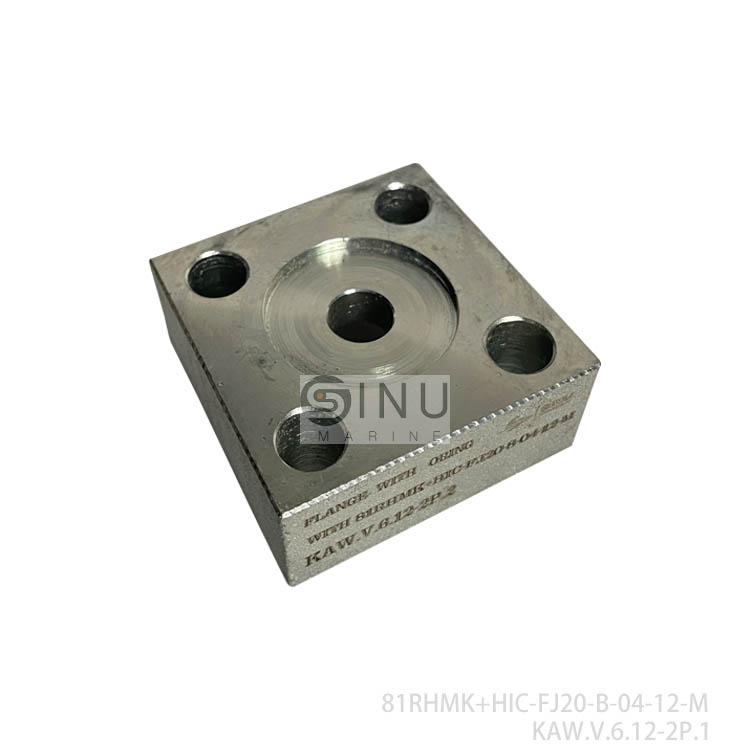 SN-FLANGE WITH 81RHMK+HIC-FJ20-B-04-12-M FOR HYDRAULIC MOTOR