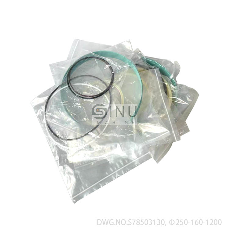SN-SEOHAE hatch cover hydraulic cylinder seal kits,DWG.NO.S78503130,Φ250-160-1200