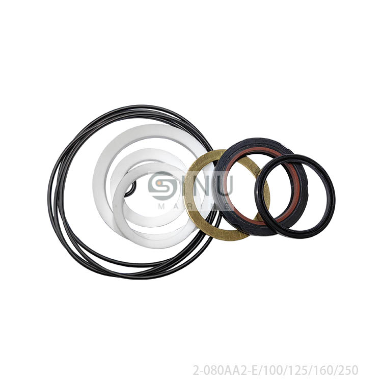 SN-SEAL KITS FOR ORBIT MOTOR 2-080AA2-E2-100AA2-E2-125AA2-160AA2-250AA (2)
