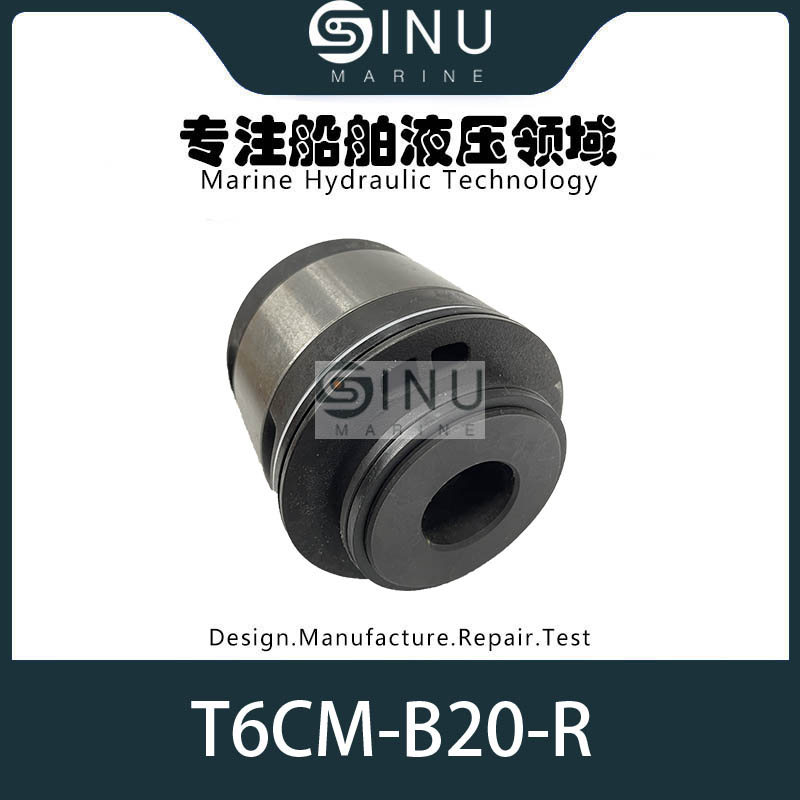 SN主图-PUMP CARTRIDGE FOR T6CM-B20-R HYDRAULIC OIL PUMP