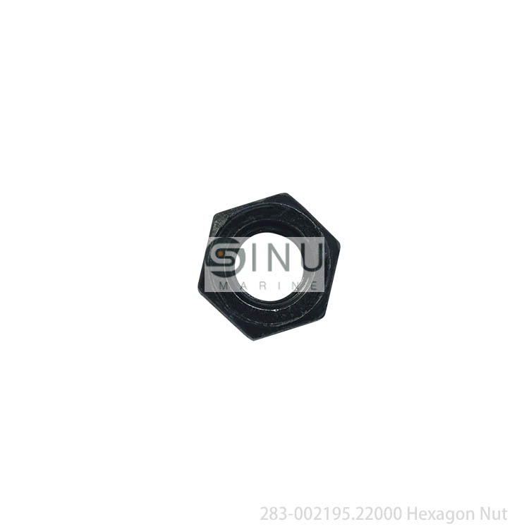 SN-283-002195.22000 Hexagon Nut For 6MBP-320 Valve Unit Parts 404932A