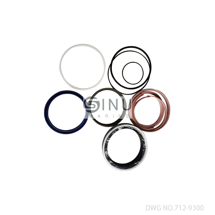 SN-DWG.712-9300 Hydraulic Cylinder Seal Kits For Bulk Carrier Hatch Covers