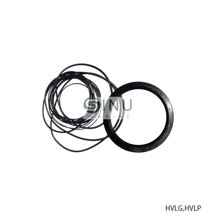 SN-SEAL KIT FOR HVLG,HVLP HDYRAULIC VANE MOTOR SPARE PARTS
