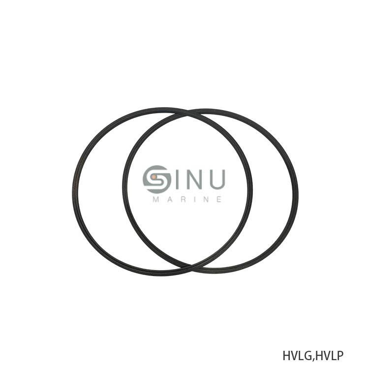 SN-HVLG,HVLP HDYRAULIC VANE MOTOR SEAL RING-SPARE PARTS