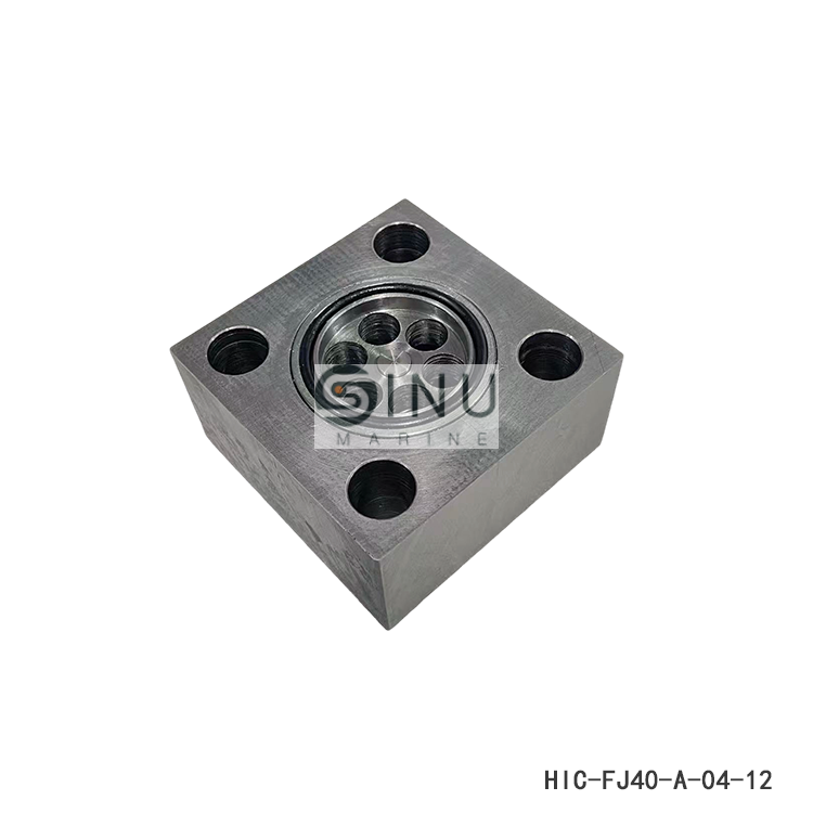 SN-Check Valve HIC-FJ40-A-04-12  Cargo Hold Hatch Cover Hydraulic  Spare Parts