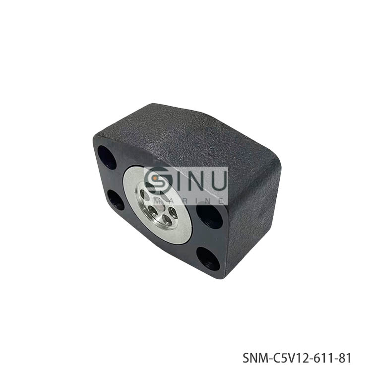 SN-Check valve C5V12-611-81 cargo crane hdyraulic spare parts