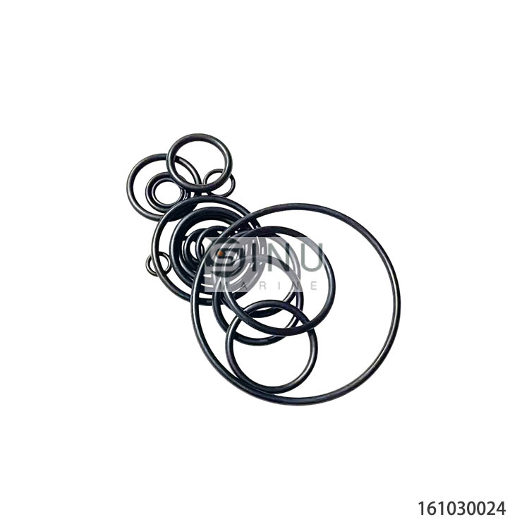 SN-SK-FDM04 CONTROL VALVE SEAL KITS 