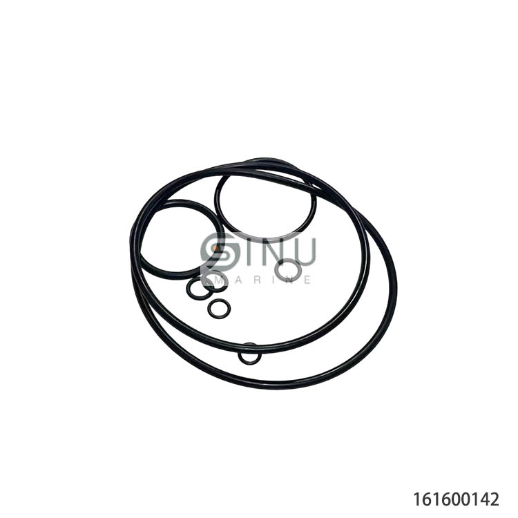 SN-A6VM160  HYDRAULIC PISTON MOTOR SEAL KITS-ORING KITS