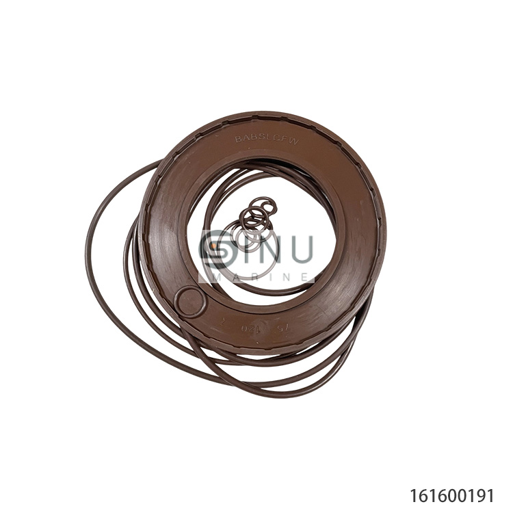 SN-A4VG250 Piston Pump Seal kit