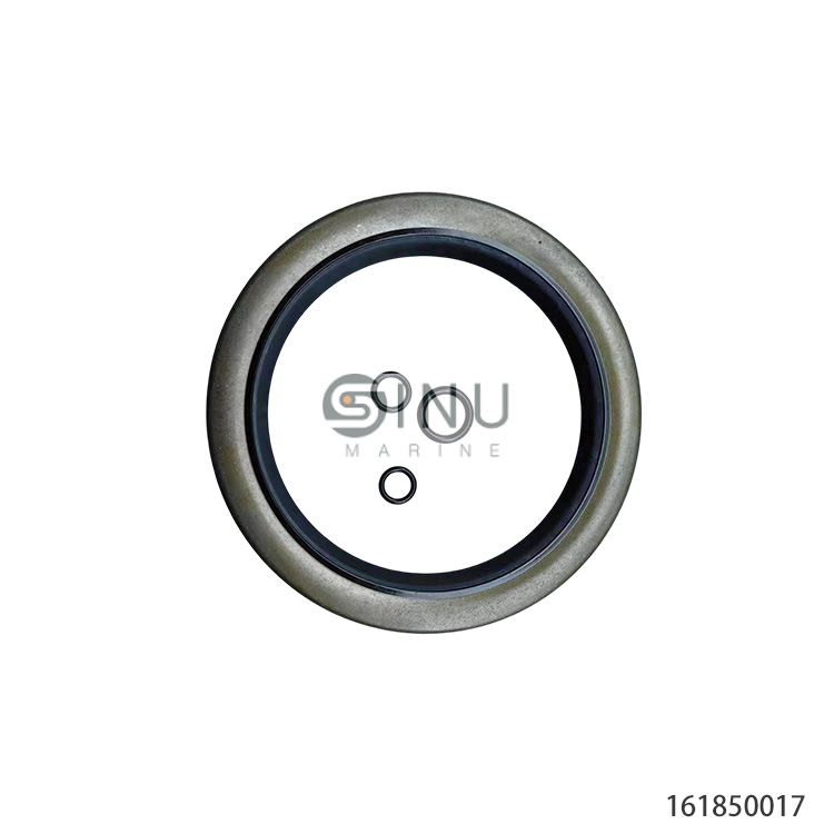 SN-CHHXL-6165 CYCLO DRIVE GEAR BOX SEAL KITS
