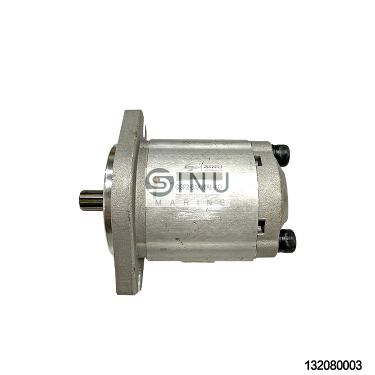 SN-SNM-GSP2-B1A16AL-AO  Ship Hydrualic Gear Pump