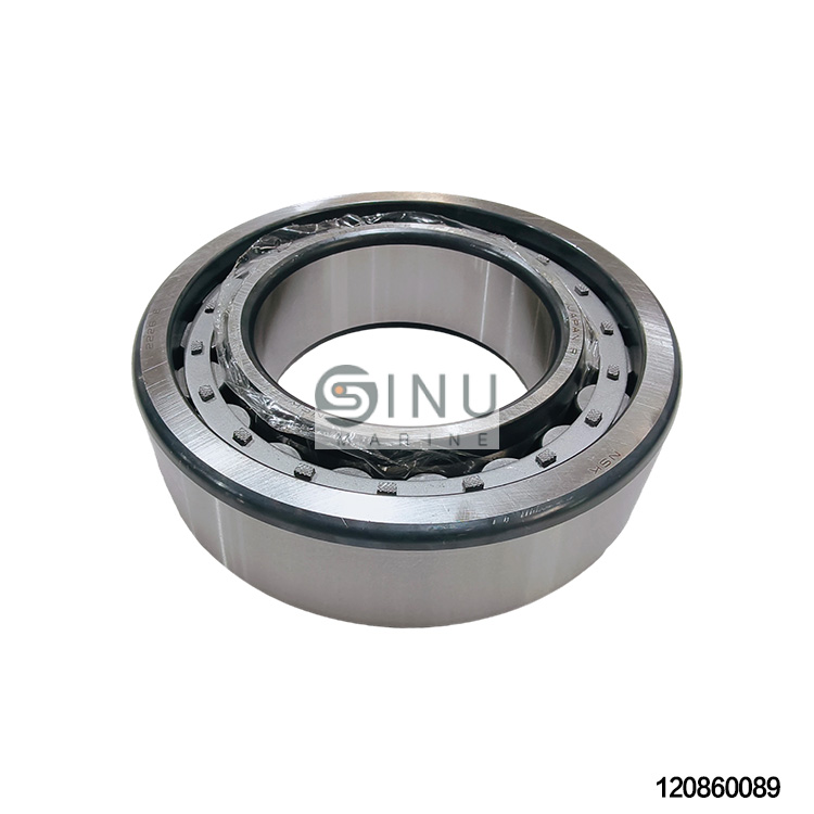 SN-Front Bearing NJ2226 for HVL,HVK Hydraulic Vane Motor