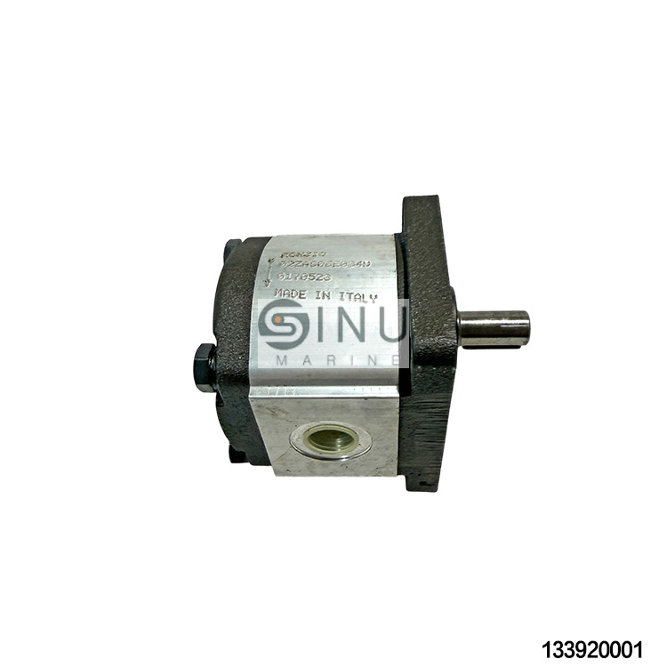 SN-Italian RONZIO  02ZAG06E034D Hydraulic Gear Pump,for Marine Hydraulic Systems Spare Parts