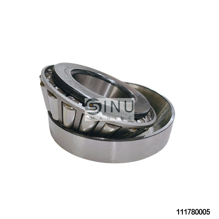 SN-Tapered Roller Bearing For A6VM080HD Hydraulic Motor Bearing